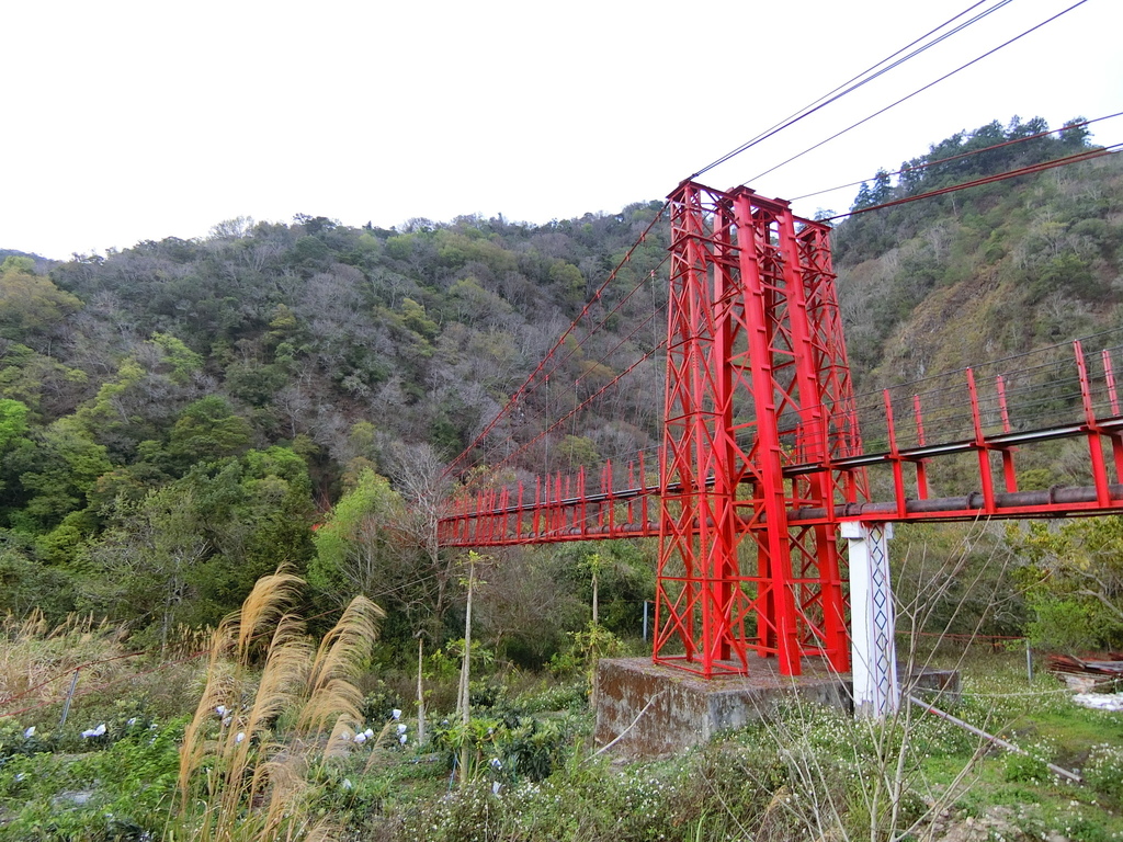 萬豐鐵管吊橋（萬豐村）