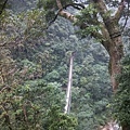 竹山梯子吊橋