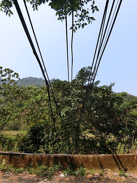 羅羅谷吊橋（人和村）