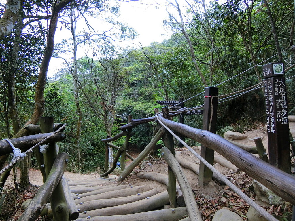 大坑3號登山步道 終點（北屯）