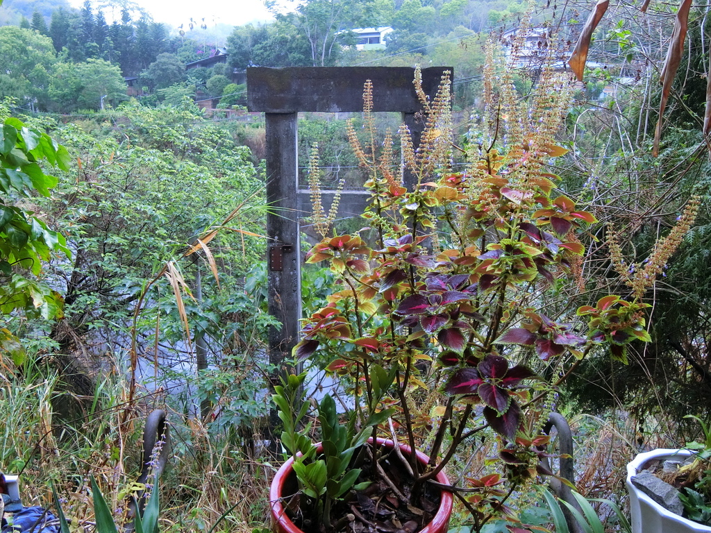 北田路吊橋 遺跡（太平）