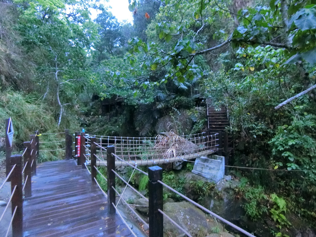 蝙蝠洞延伸步道 第1吊橋