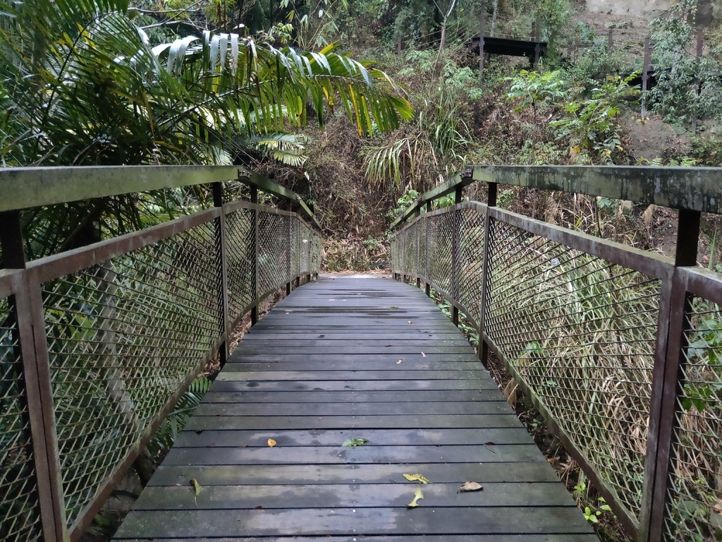 蝙蝠洞延伸步道 木橋