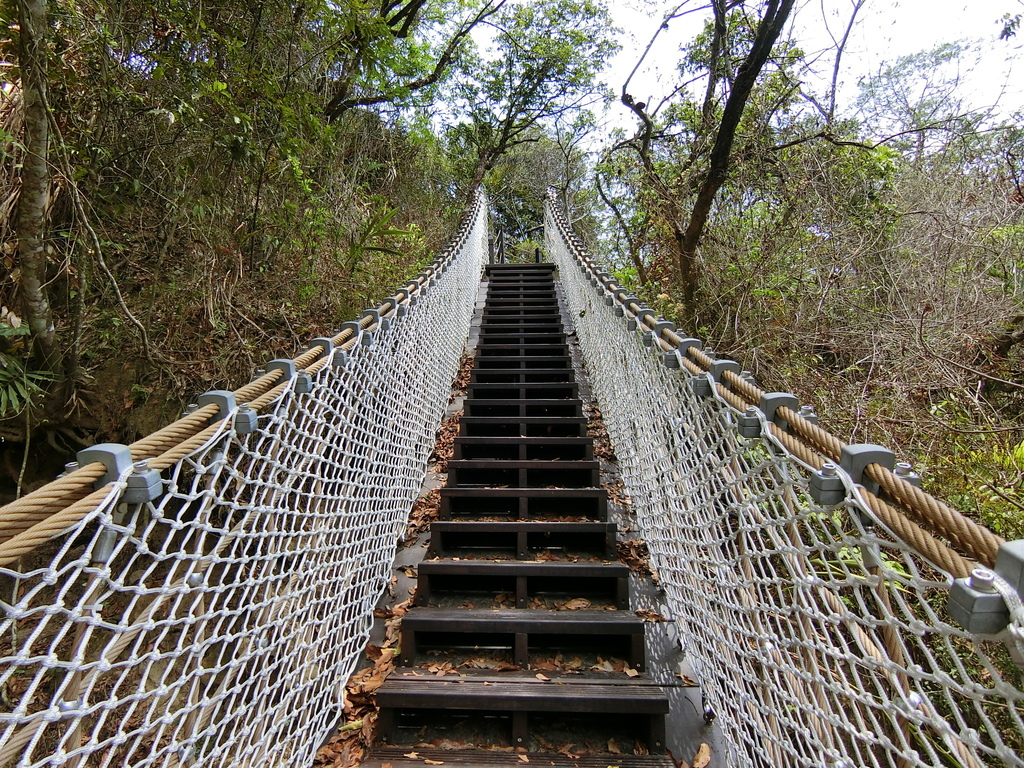 楓仔林步道小天梯吊橋（太平）