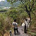 楓仔林步道小天梯吊橋（太平）