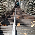 楓仔林步道小天梯吊橋（太平）