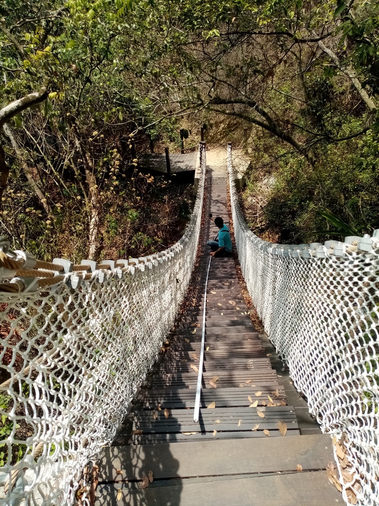 楓仔林步道小天梯吊橋（太平）