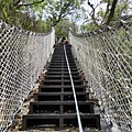 楓仔林步道小天梯吊橋（太平）