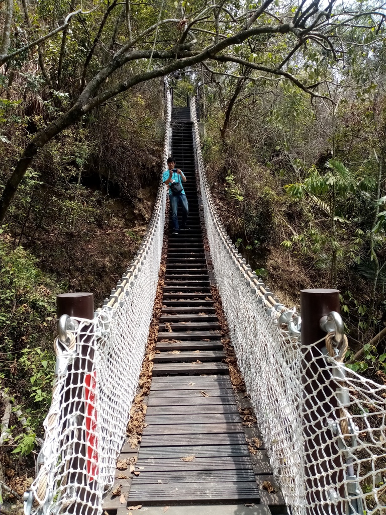 楓仔林步道小天梯吊橋（太平）