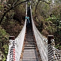 楓仔林步道小天梯吊橋（太平）