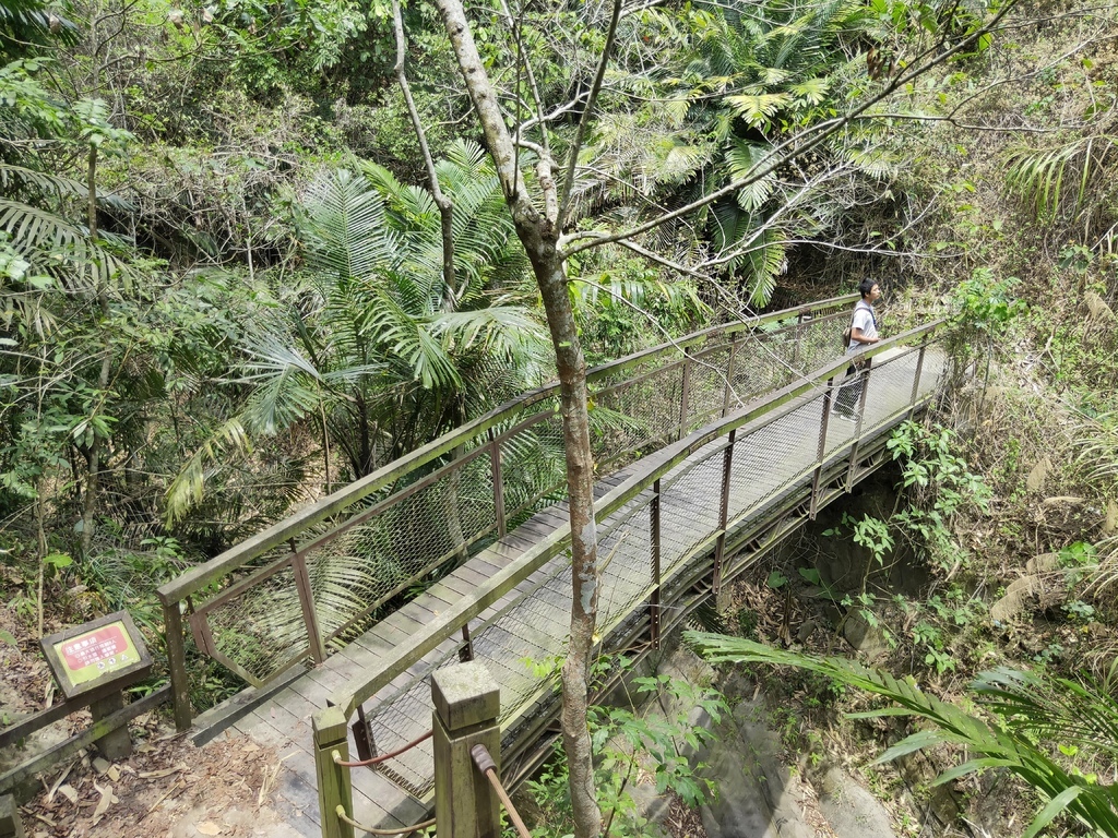 蝙蝠洞延伸步道 木橋