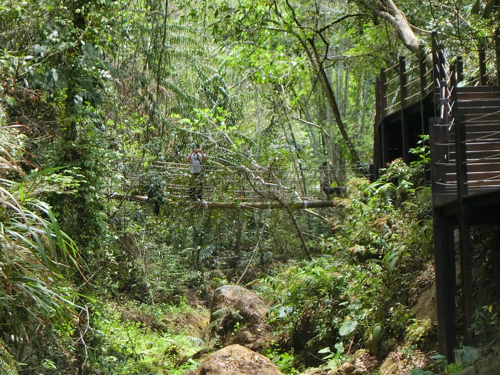 蝙蝠洞延伸步道 第2吊橋