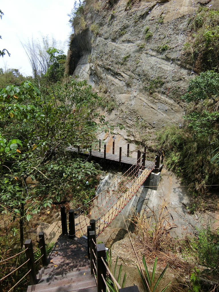 蝙蝠洞延伸步道 第1吊橋