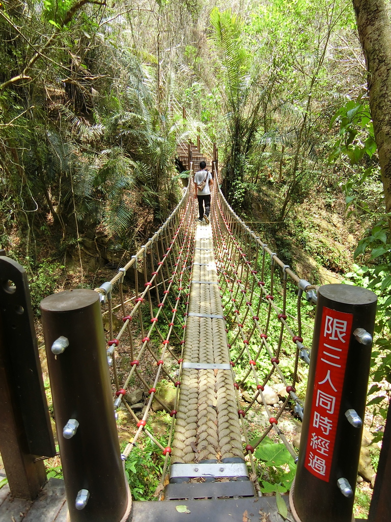 蝙蝠洞延伸步道 第2吊橋