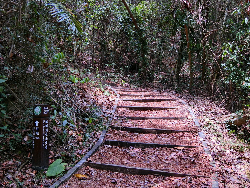 蝙蝠洞延伸步道 0.6K