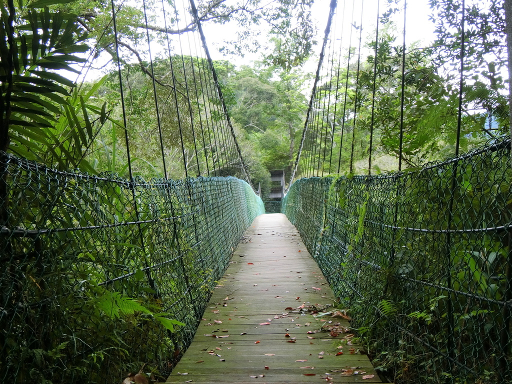 高遶天空吊橋（復興）