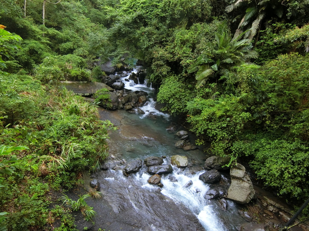 和平吊橋 義興溪