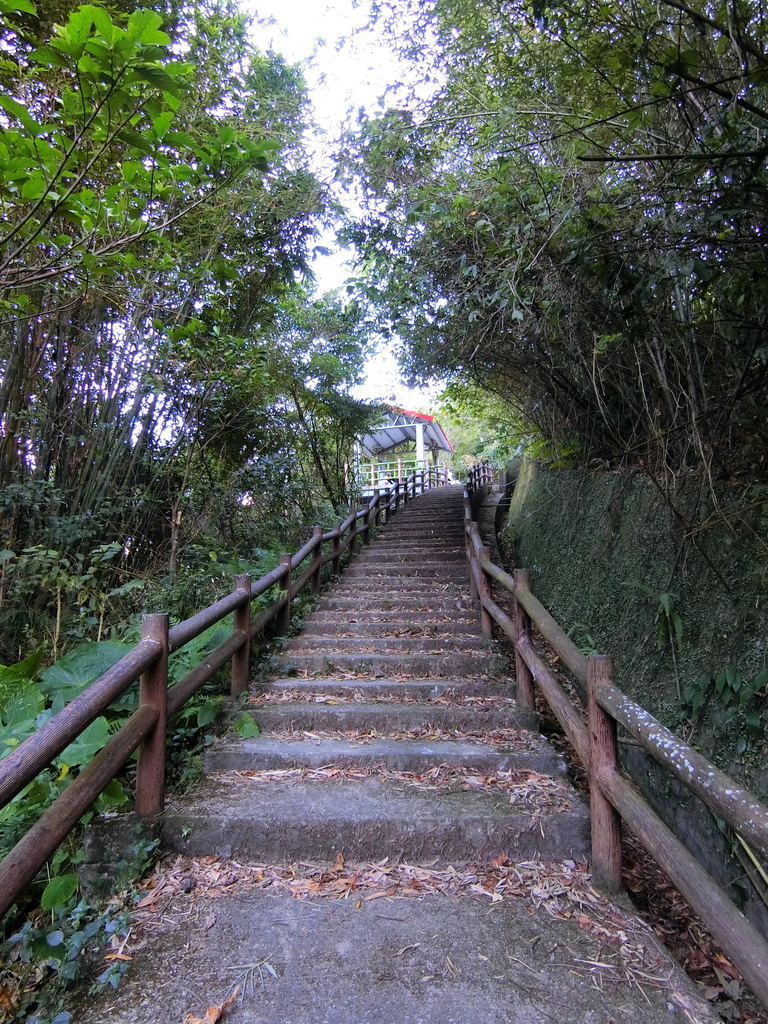 大豹吊橋（三峽）