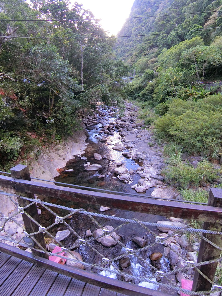 梢楠吊橋（三峽）