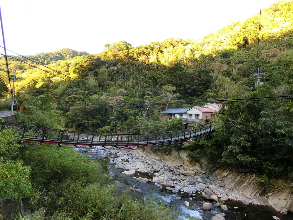 梢楠吊橋（三峽）