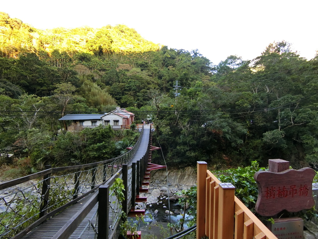 梢楠吊橋（三峽）