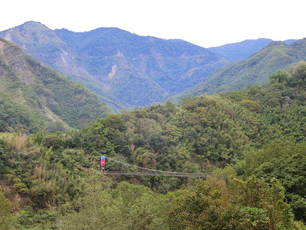 達邦吊橋（達邦村）