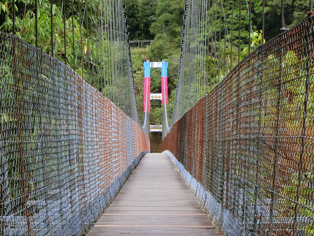 達邦吊橋（達邦村）