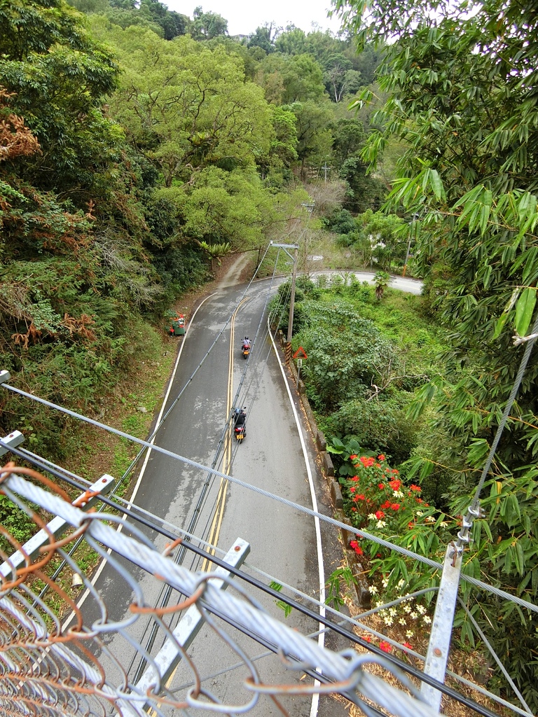 達邦吊橋（達邦村）