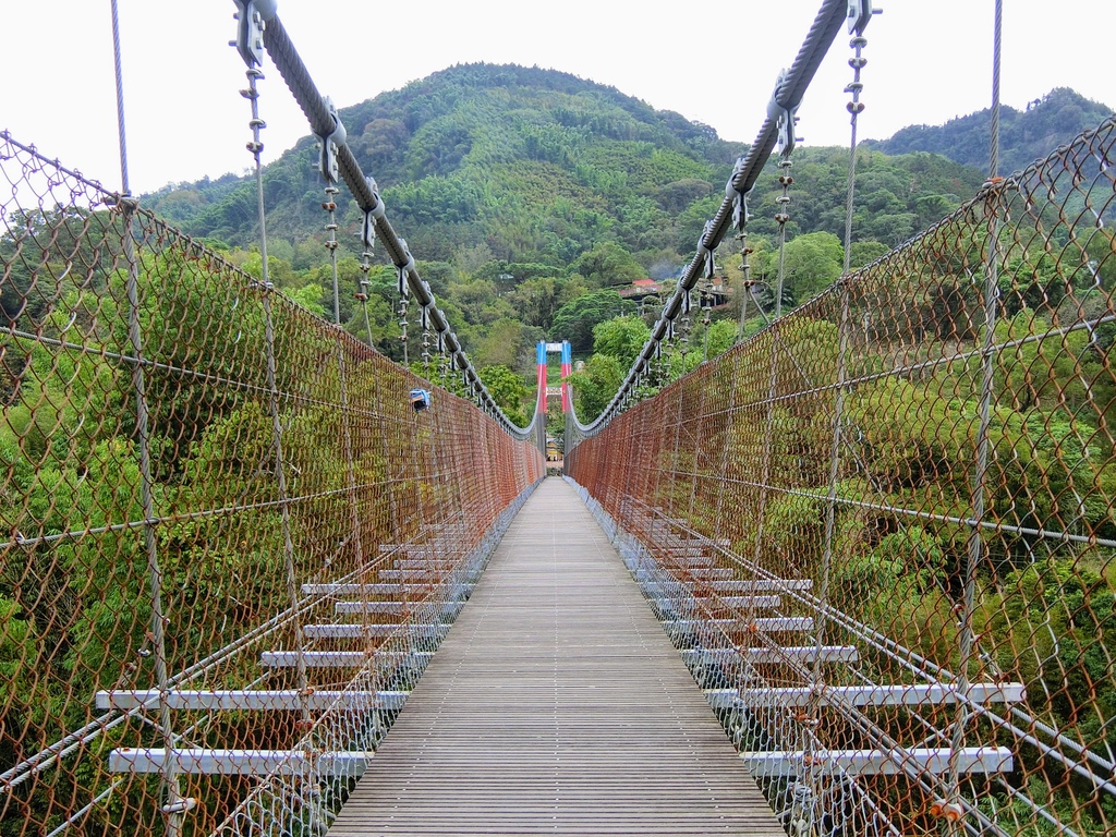 達邦吊橋（達邦村）