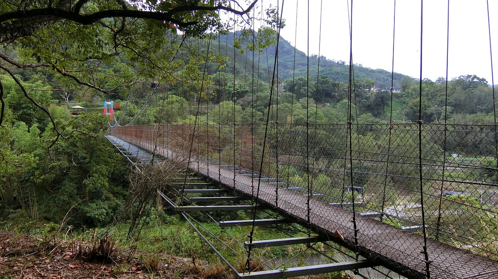 達邦吊橋（達邦村）