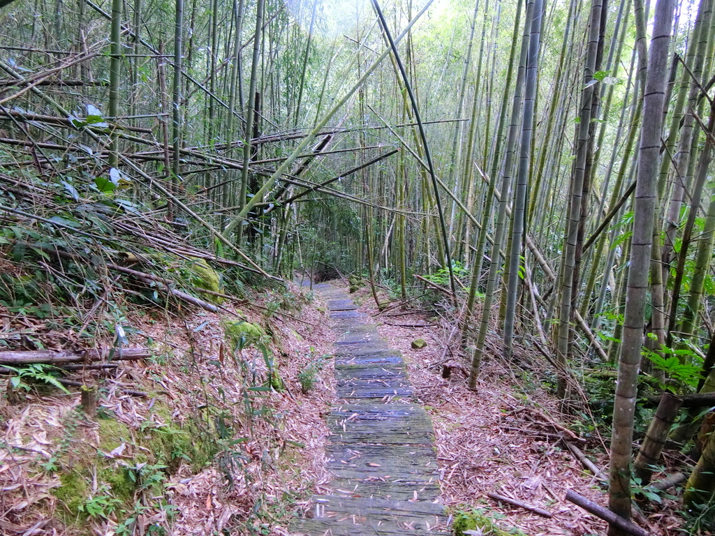 巨石版步道