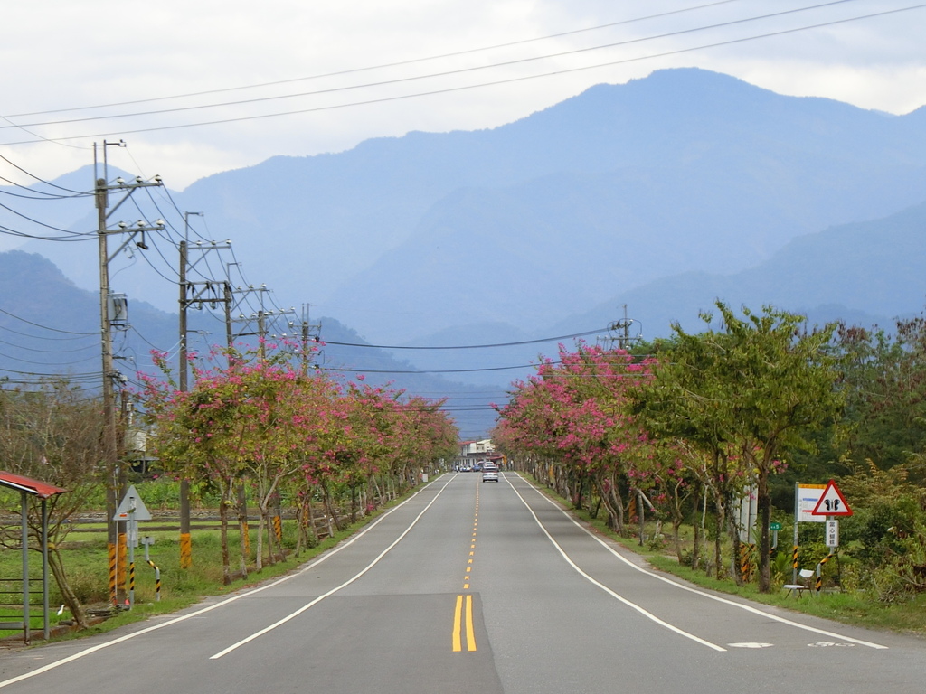 台２８線 新寮橋（六龜）