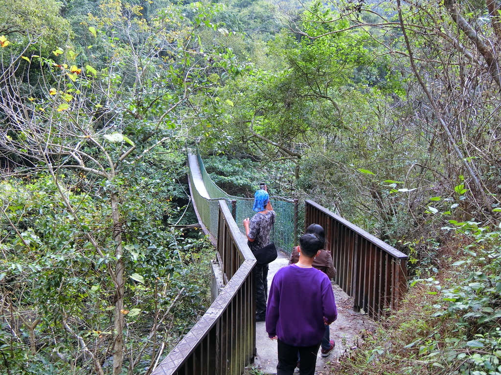 羅木斯步道第一吊橋