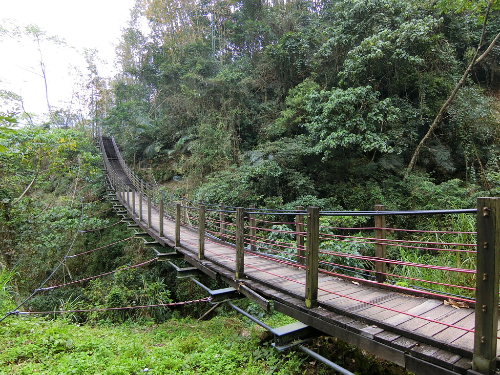 峭壁雄風小天梯（古坑）