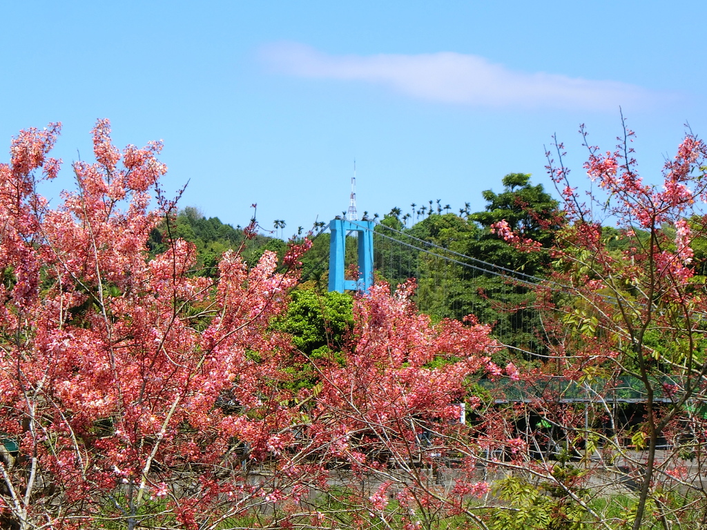 行千吊橋（竹崎）