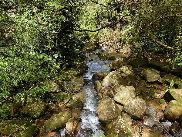 馬胎古道油羅溪