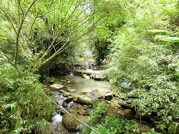 馬胎古道油羅溪