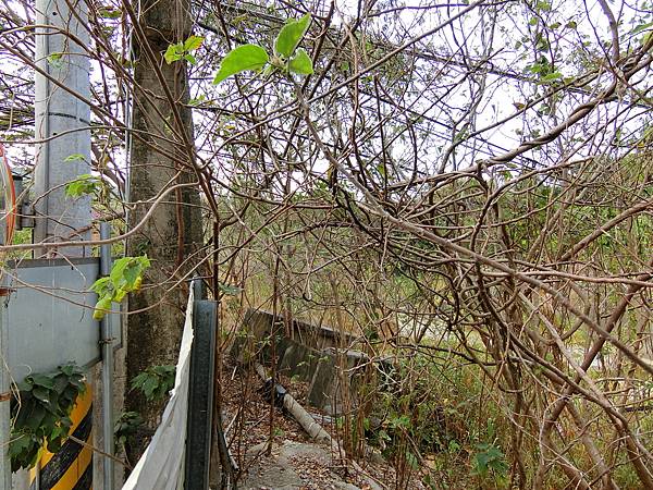 長龍吊橋 遺跡（太平）