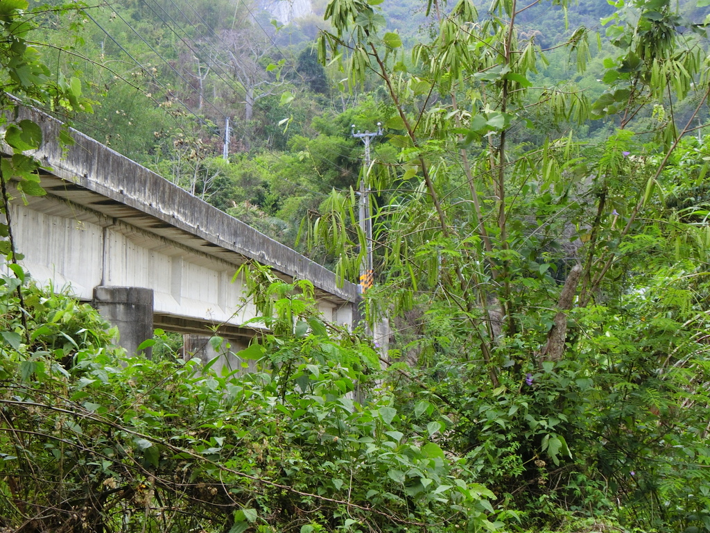 姜仔崙吊橋 遺址（白河）