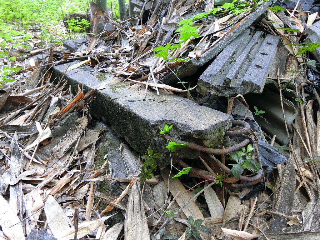 姜仔崙吊橋 遺址？（白河）