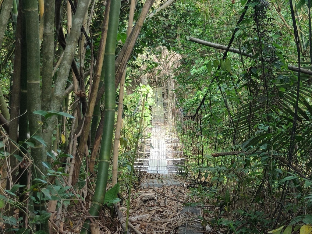 檨仔林保線吊橋（白河）