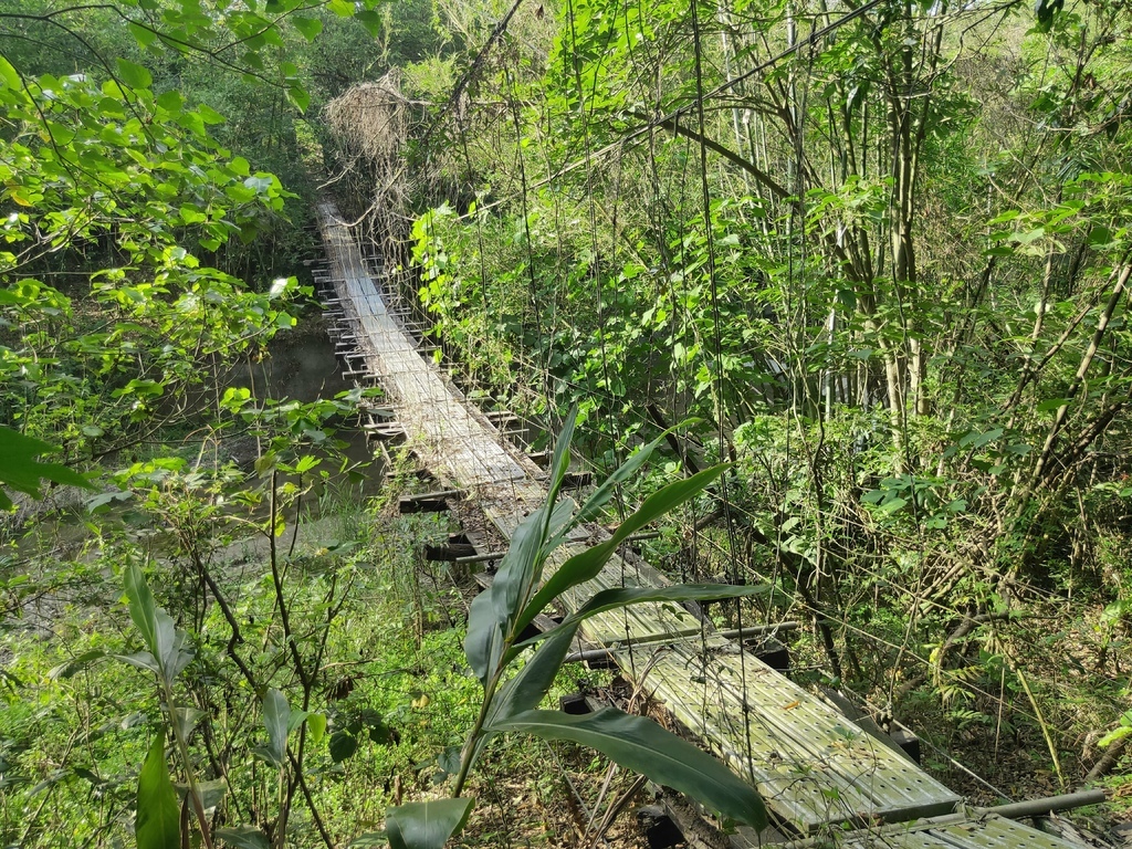 檨仔林保線吊橋（白河）