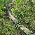 檨仔林保線吊橋（白河）