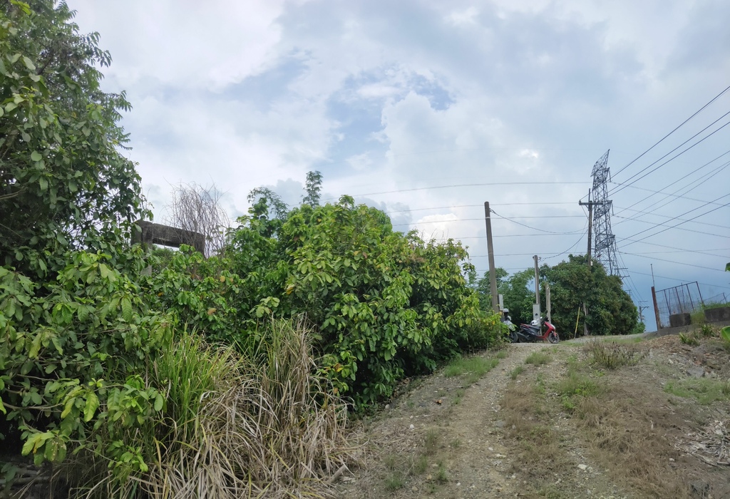 石廟仔保線吊橋 遺跡（白河）