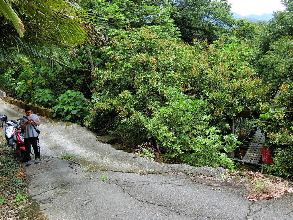 二坑仔埔保線吊橋（東山）