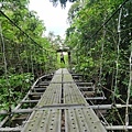 二坑仔埔保線吊橋（東山）