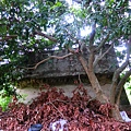 牛山吊橋 遺跡（東山）