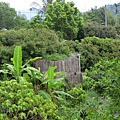 牛山吊橋 遺跡（東山）