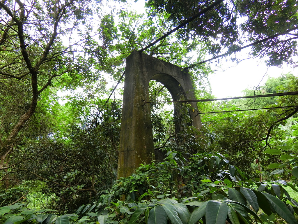 大坪頂吊橋（東山）