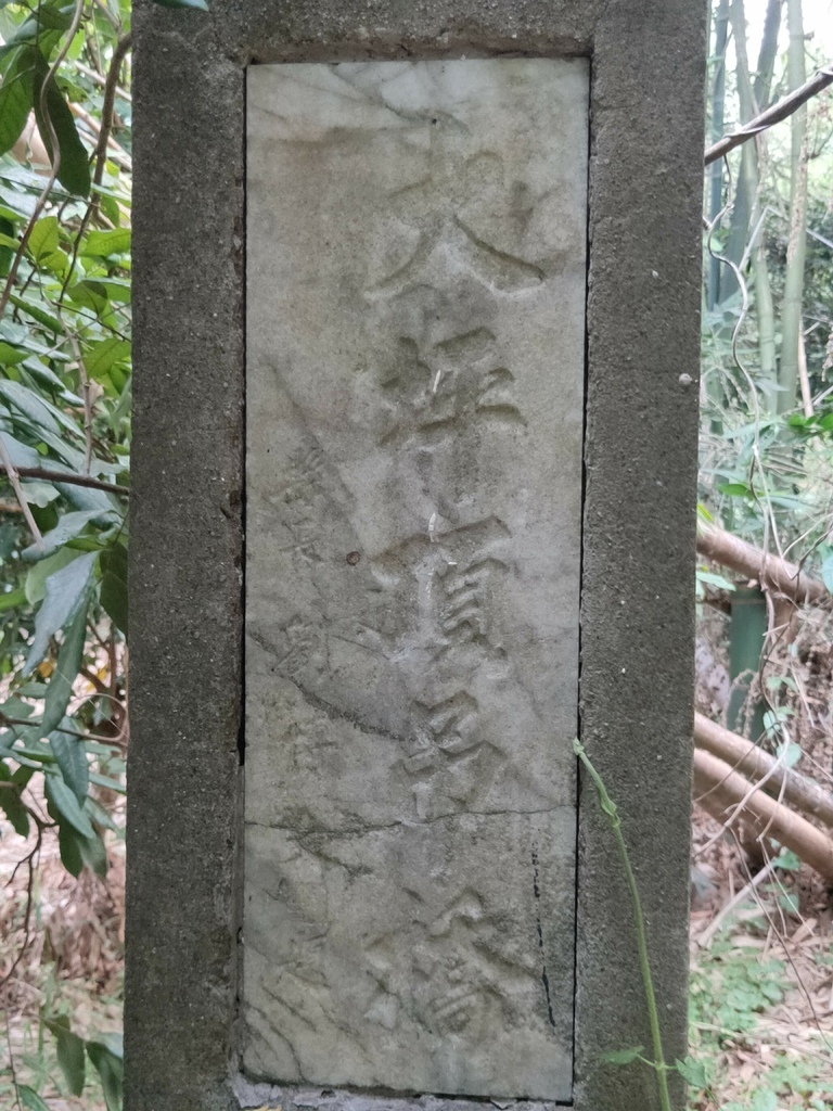 大坪頂吊橋（東山）